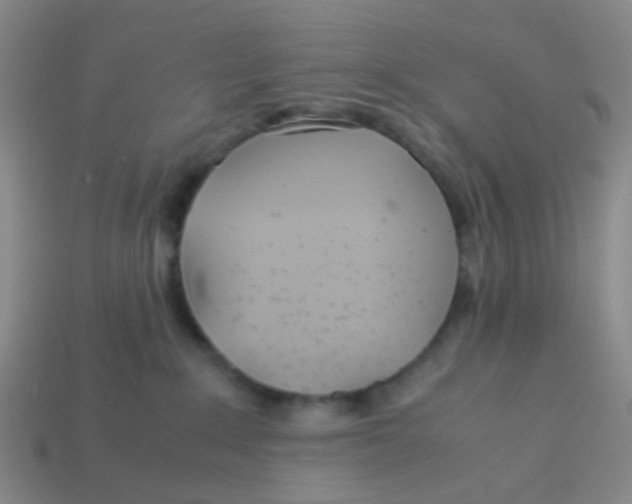 X0000113560235200910161503