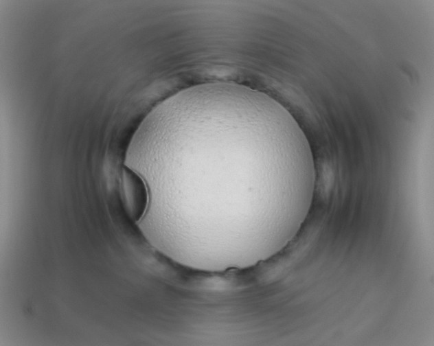 X0000113560236200910161503