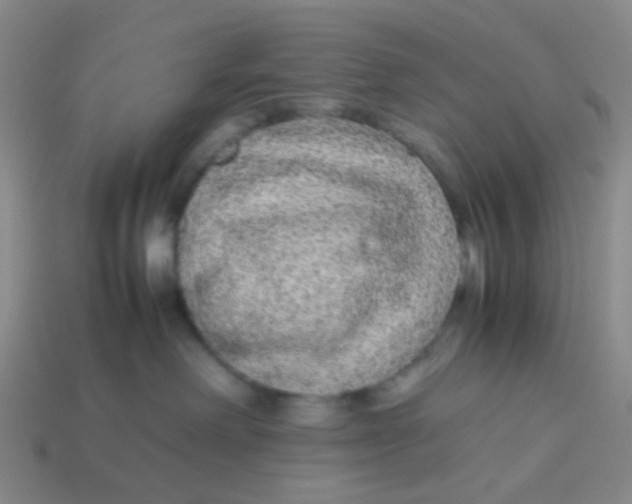 X0000113560238200910161503