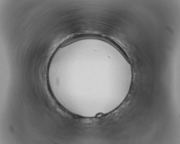 X0000113560241200910161502