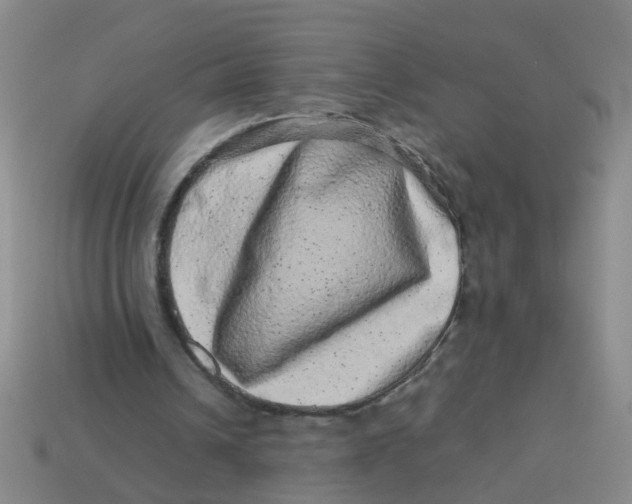 X0000113560242200910161502
