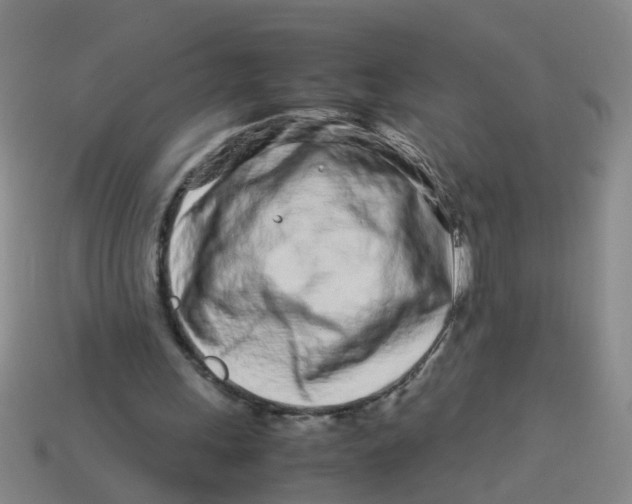 X0000113560243200910161502