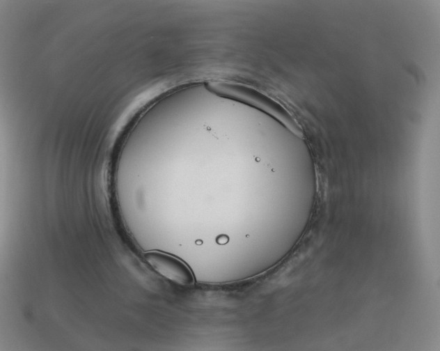 X0000113560244200910161502