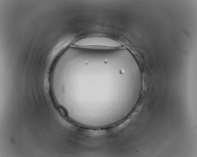X0000113560245200910161502