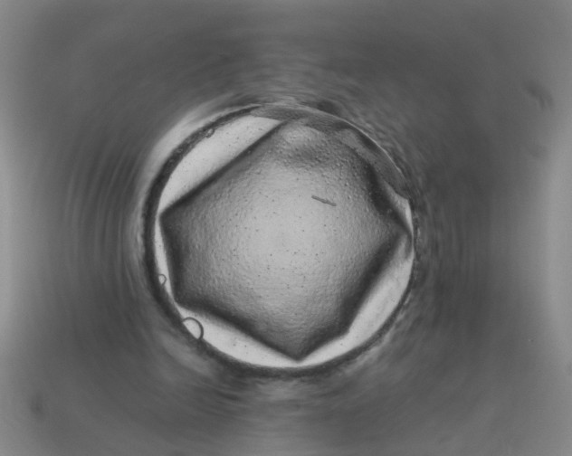 X0000113560246200910161502