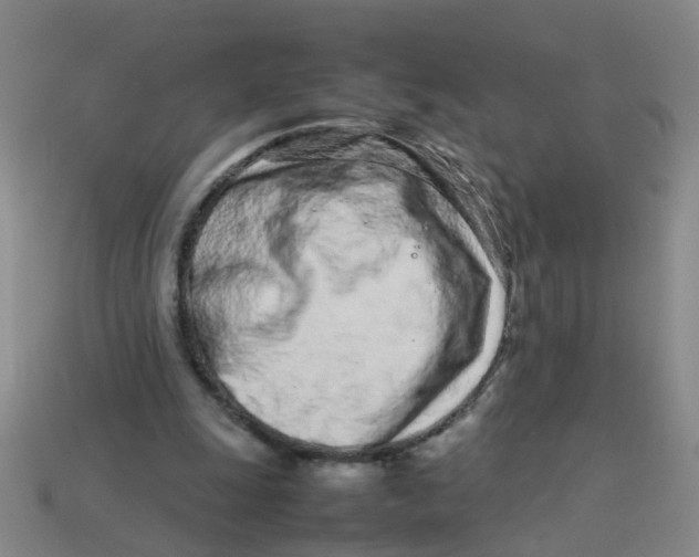 X0000113560247200910161502