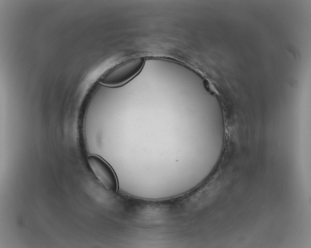 X0000113560248200910161502
