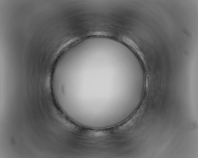 X0000113560249200910161502