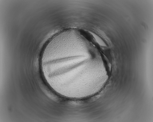 X0000113560250200910161502