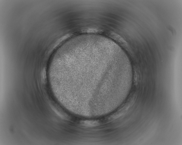 X0000113560251200910161502