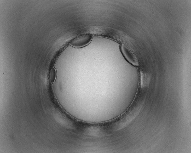 X0000113560252200910161502