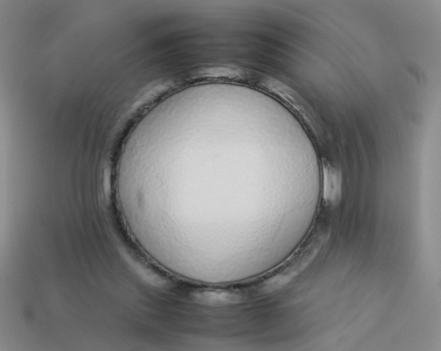 X0000113560253200910161502