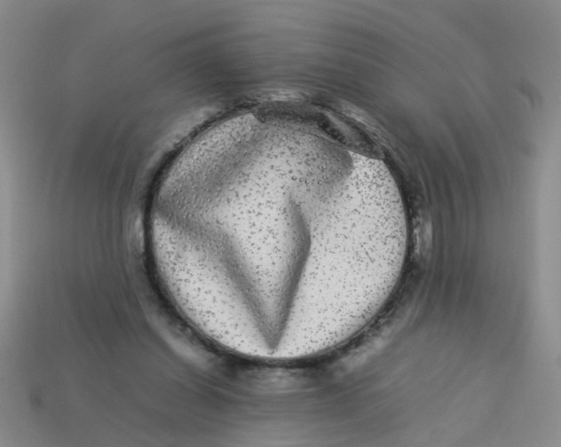 X0000113560254200910161502