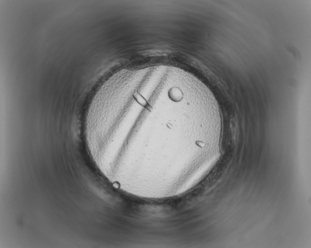 X0000113560255200910161502