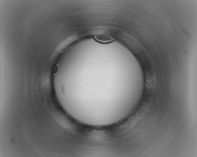 X0000113560256200910161502
