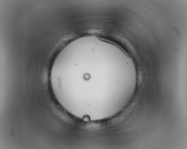 X0000113560257200910161502