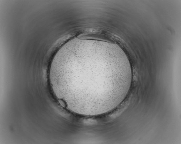 X0000113560258200910161502