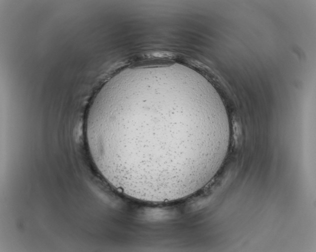 X0000113560259200910161502