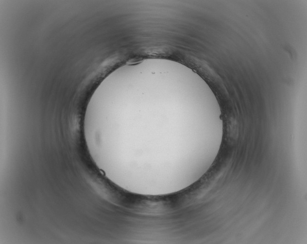 X0000113560260200910161502