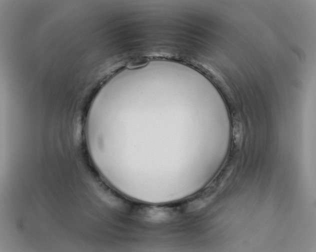 X0000113560261200910161502