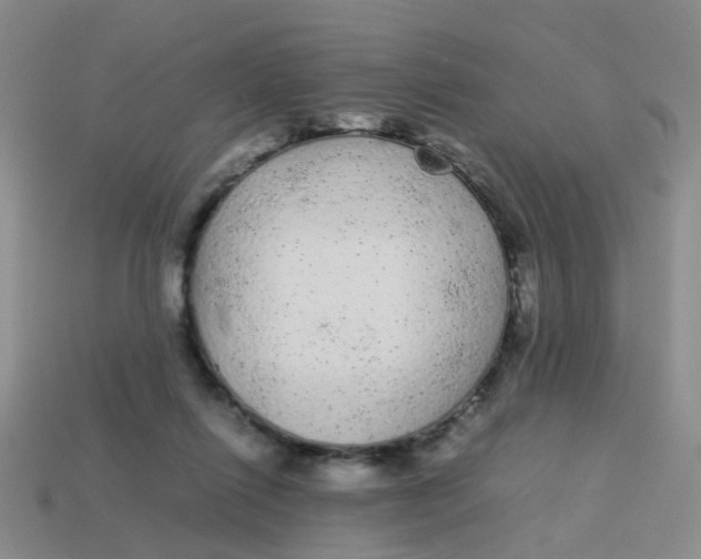 X0000113560262200910161502