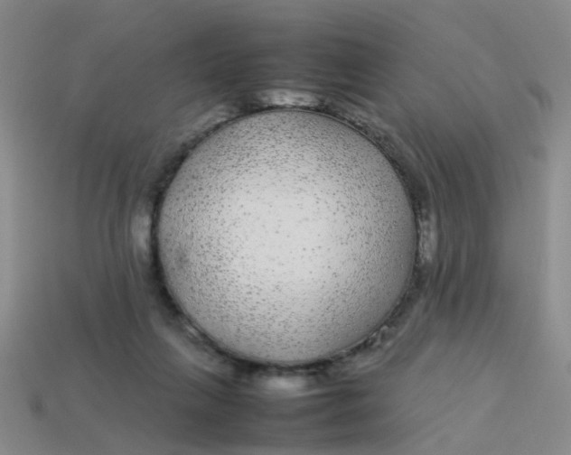 X0000113560263200910161502
