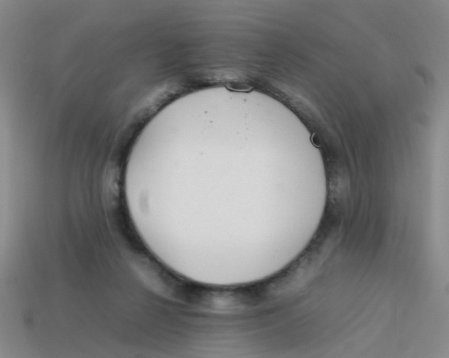 X0000113560264200910161502