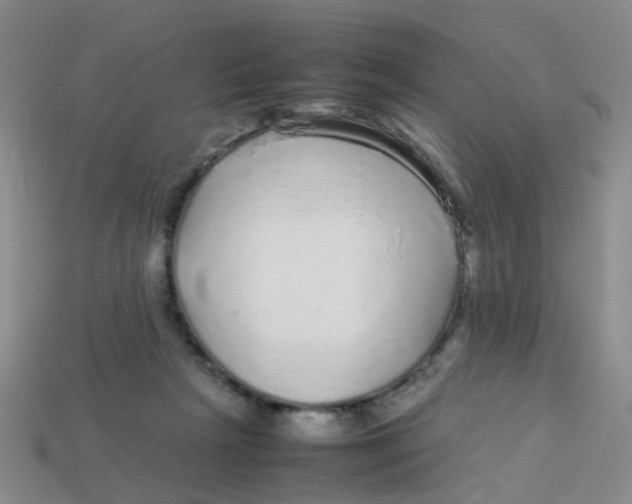 X0000113560265200910161502