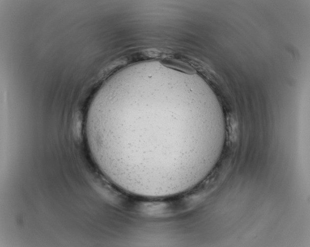 X0000113560266200910161502