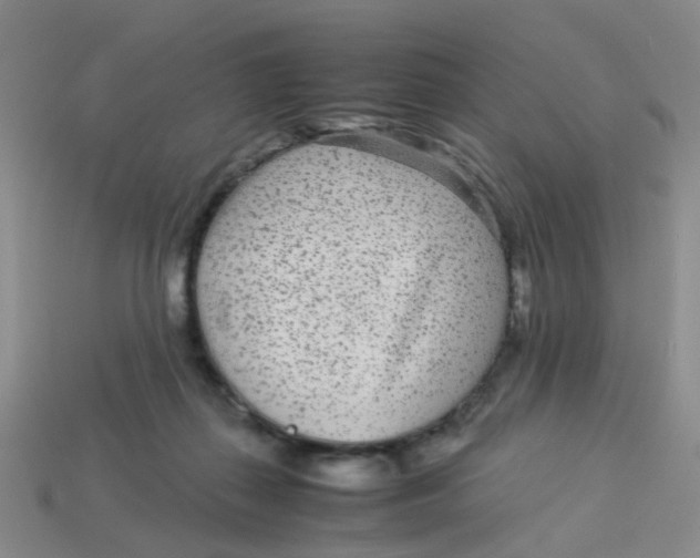 X0000113560267200910161502