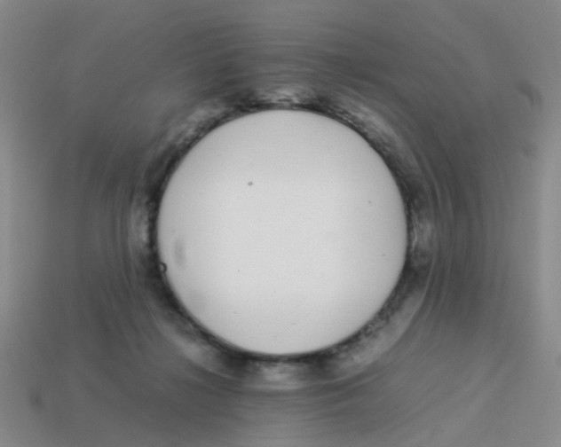 X0000113560268200910161502