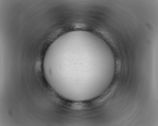 X0000113560269200910161502