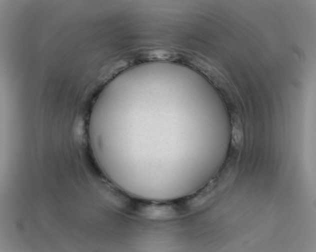 X0000113560270200910161502