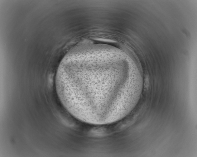 X0000113560271200910161502