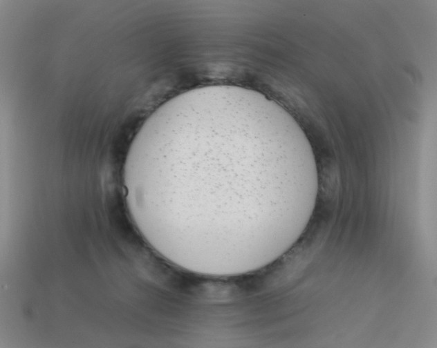 X0000113560272200910161502