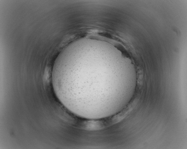 X0000113560273200910161502