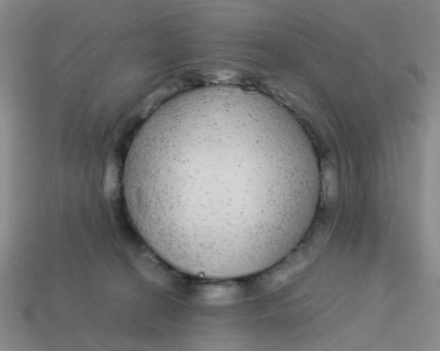 X0000113560274200910161502