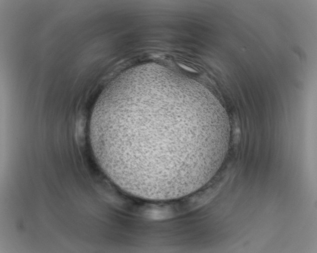 X0000113560275200910161502