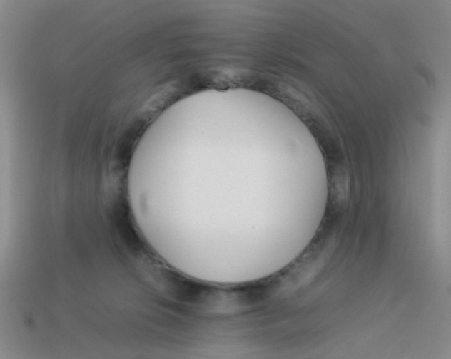 X0000113560276200910161502