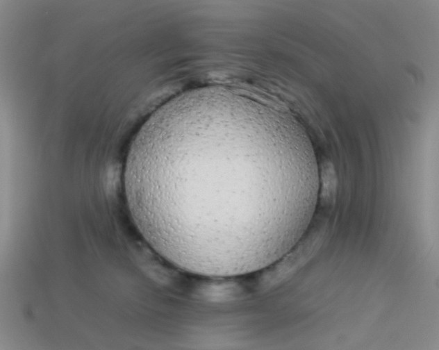 X0000113560278200910161502