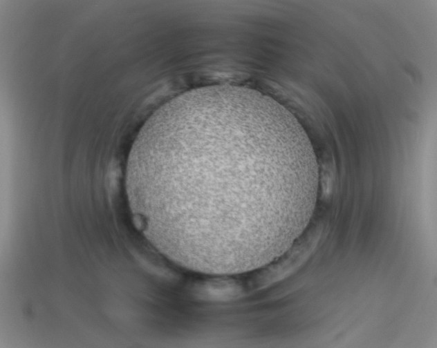 X0000113560279200910161502
