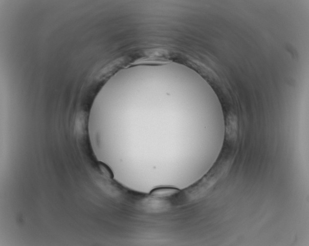 X0000113560280200910161503