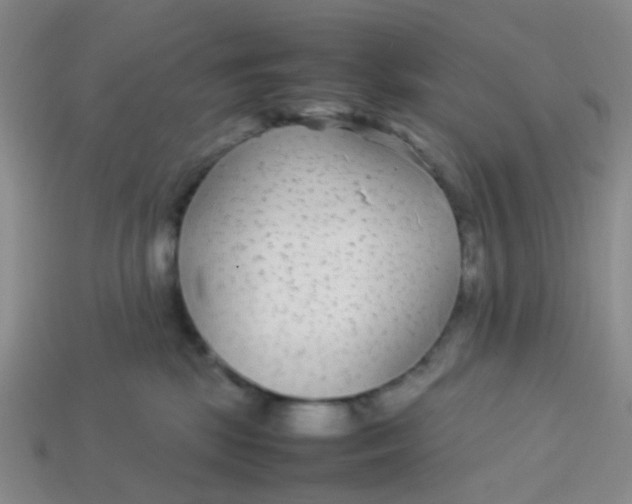 X0000113560281200910161503