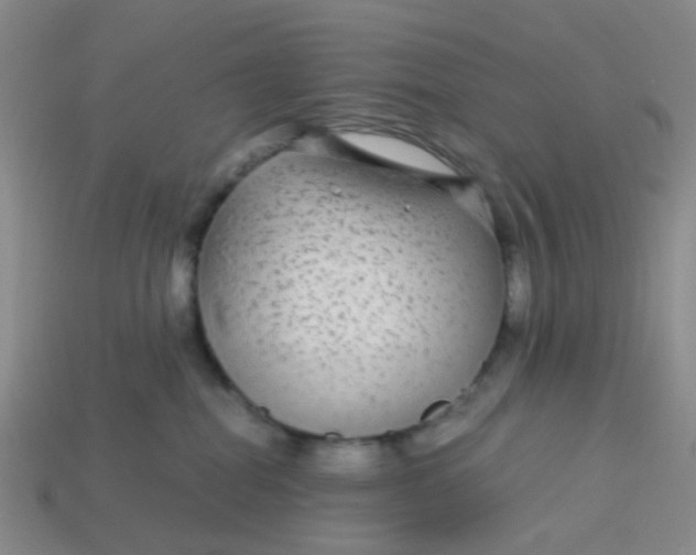 X0000113560282200910161503