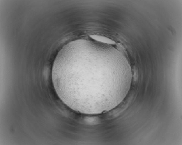 X0000113560283200910161503