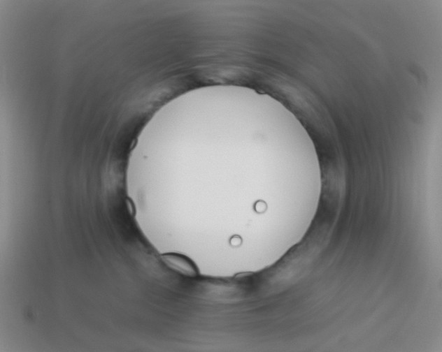 X0000113560284200910161503