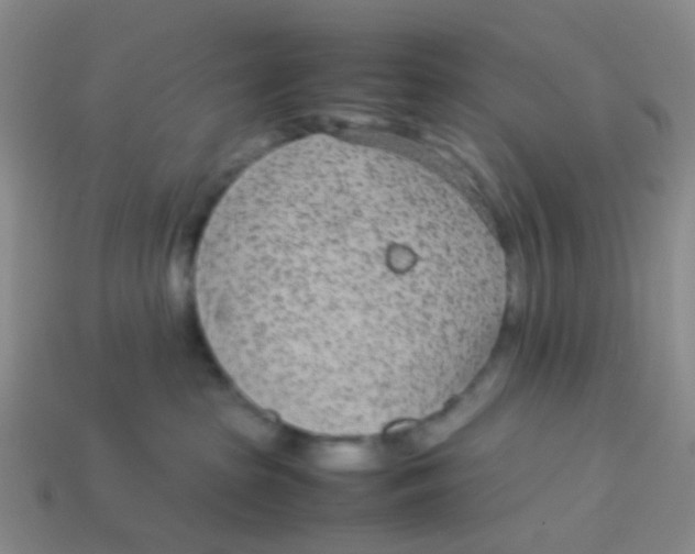 X0000113560285200910161503