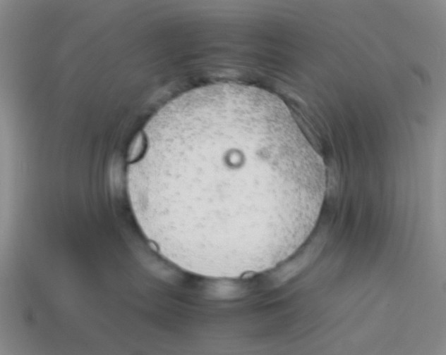 X0000113560287200910161503