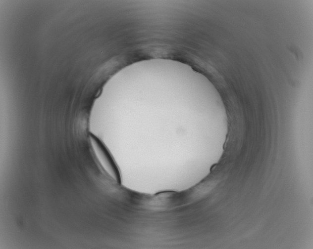 X0000113560288200910161503