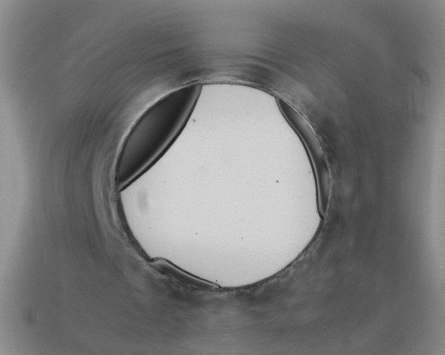X0000113560289200910161502